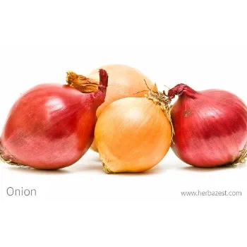 Fresh Onion